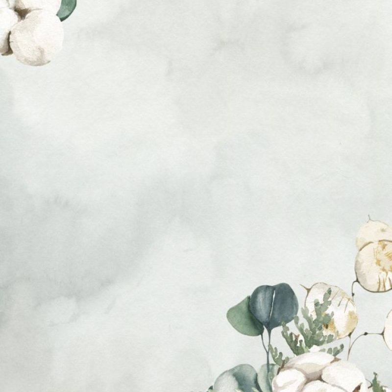 8d811fc83b1c23286338a6f3b3018ea9